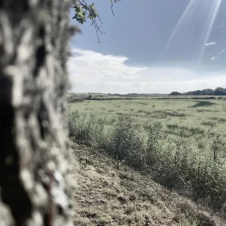 Frühstückspension Wiltsangh Texel Tuinsuite Light 3*